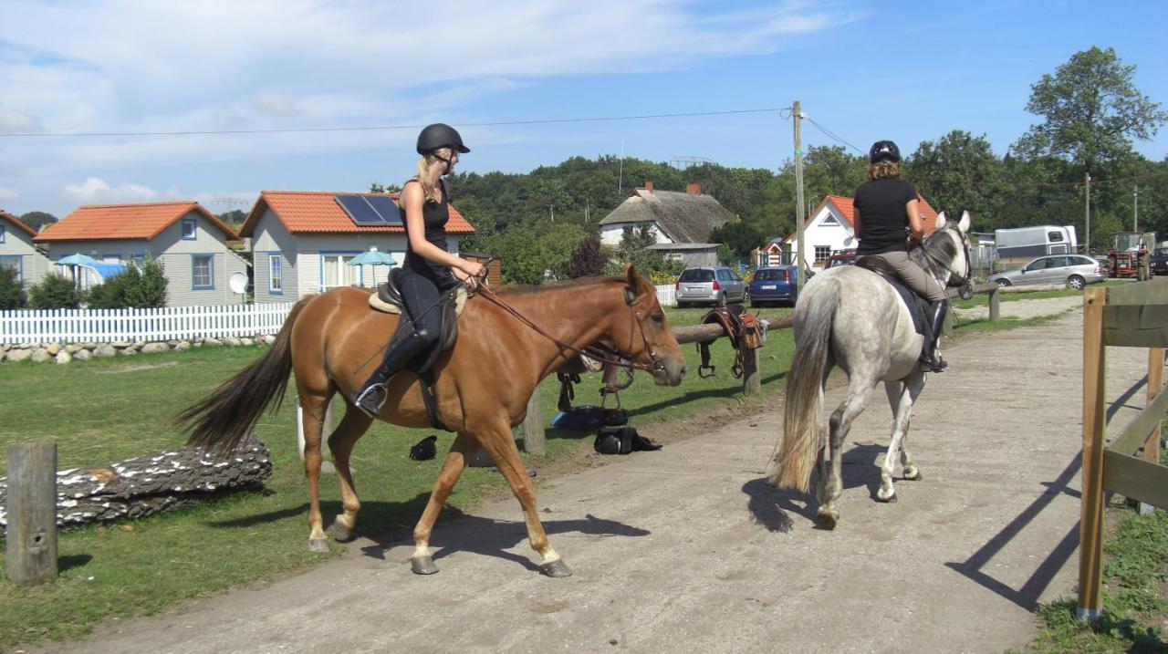 Landhaus Wilkens Baabe Zewnętrze zdjęcie